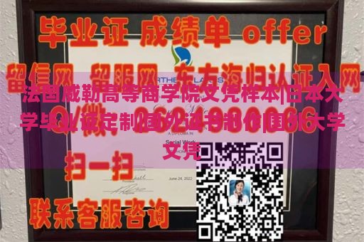 法国威勒高等商学院文凭样本|日本大学毕业证定制|国外证书制作|国外大学文凭